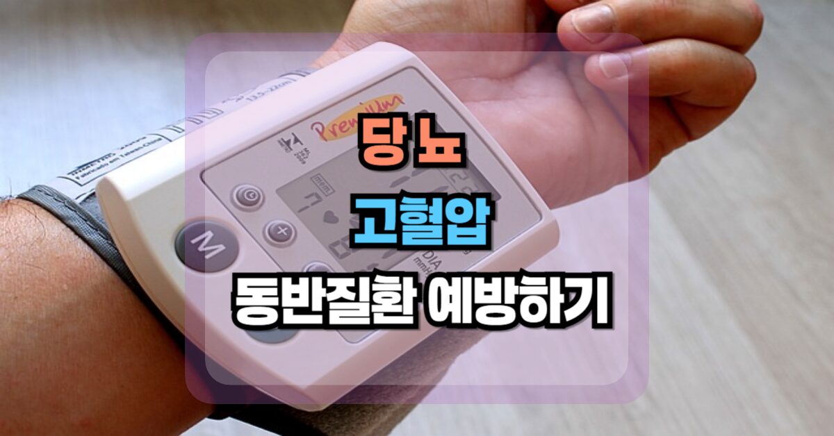 당뇨고혈압동반질환예방