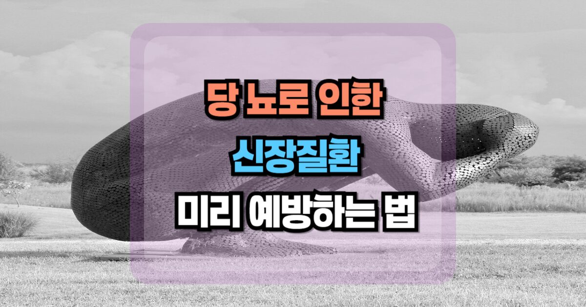 당뇨로 인한 신장질환 예방